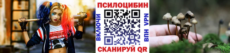 блэк спрут онион  shop официальный сайт  Псилоцибиновые грибы Psilocybe  Красноярск 